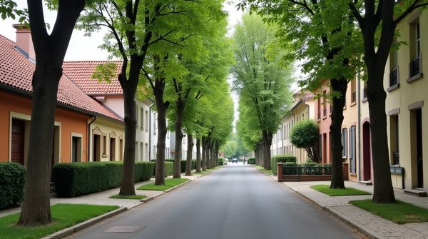 Maisons à vendre dans le quartier moulinet à charleville-mézières